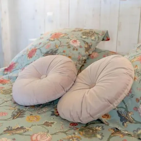 Cosy Et Romantique A Holiday home Sanguinet