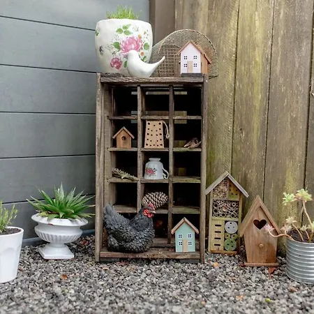 Cosy Et Romantique A Sanguinet