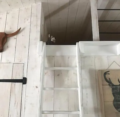 Cosy Et Romantique A Semesterbostad Sanguinet